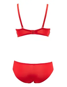 ENSEMBLE SOUTIEN-GORGE - Du Desir Au Plaisir 2