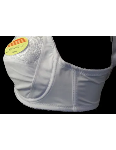 Soutien-gorge avec armature et mousse fine bonnet E - du desir au plaisir